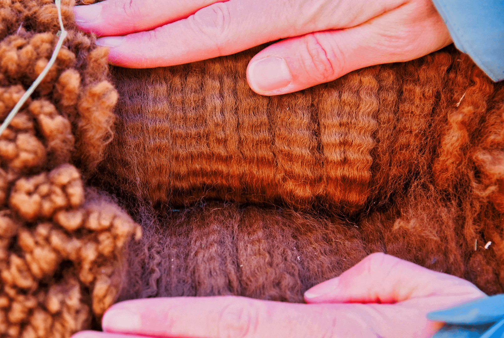 Alpaka Hofladen - 100% Wolle von Alpakas - Geschenkideen