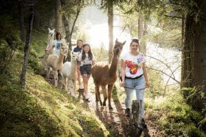 001_Alpka-Gschnitz_0-6 Wanderungen