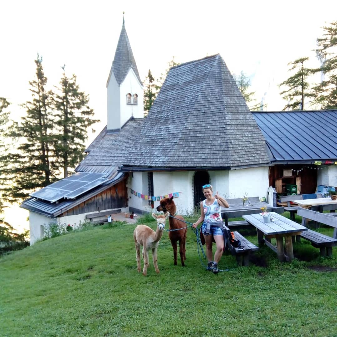 Alpaka-Wanderung-Gschnitz-Plus3 Wanderungen
