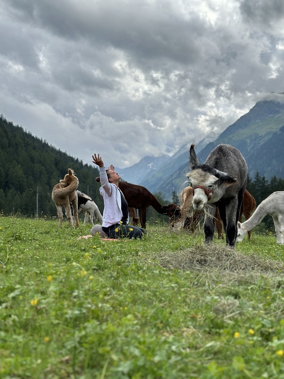 001_Alpaka_Achtsamkeit_3 Wanderungen