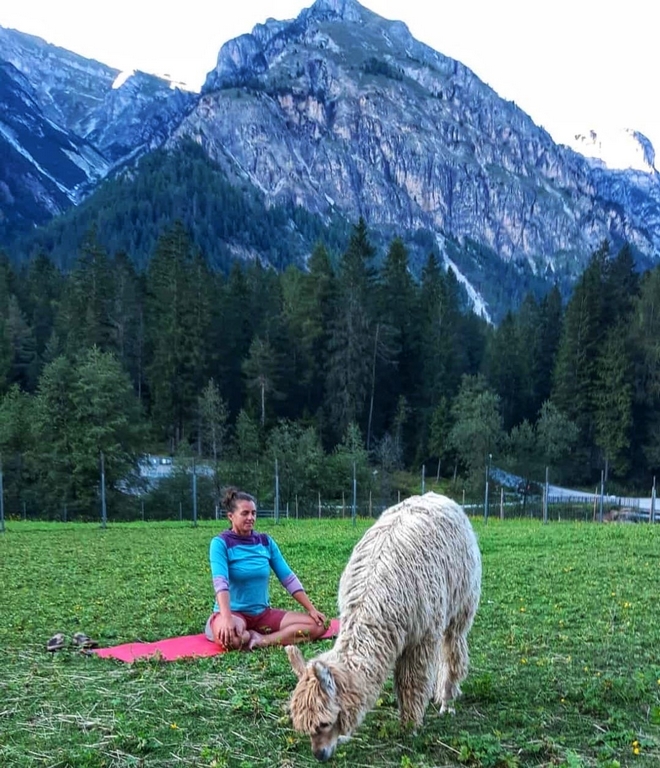 001_Alpaka_Achtsamkeit_4 Wanderungen