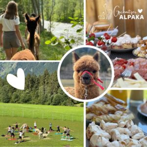 Gschnitzer Alpaka - www.alpaka.tirol