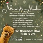 Gschnitzer Alpaka - www.alpaka.tirol