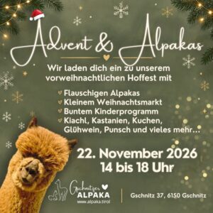 Gschnitzer Alpaka - www.alpaka.tirol