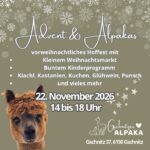 Gschnitzer Alpaka - www.alpaka.tirol