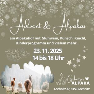 Gschnitzer Alpaka - www.alpaka.tirol