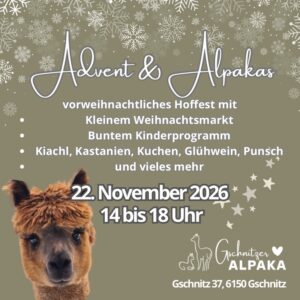 Gschnitzer Alpaka - www.alpaka.tirol