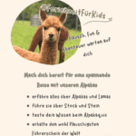 Gschnitzer Alpaka - www.alpaka.tirol