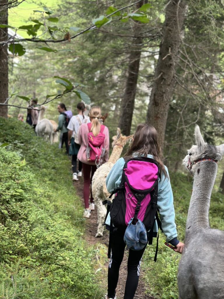 IMG_7720-768x1025 Wanderungen