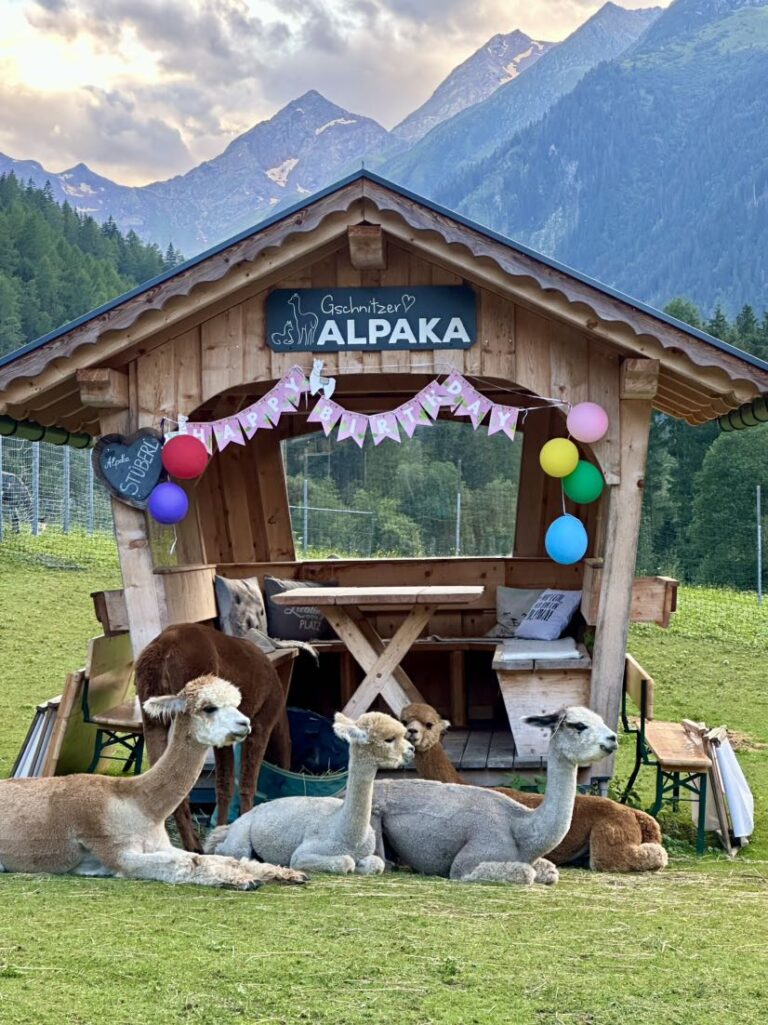 IMG_7795-768x1025 Wanderungen