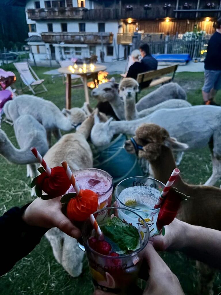 IMG_8179-768x1024 Wanderungen