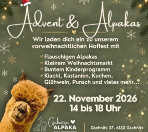 Advent-26-mec-thumb-300-268 Alpakawanderung light