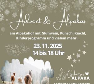 Advent-Alpakas-mec-thumb-300-268 Alpakawanderung light