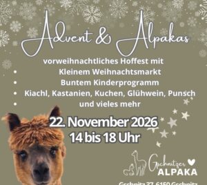 Advent-Alpakas-mec-thumb-300-268 Winterwanderung - im Anschluss gibt's Glühwein & Punsch