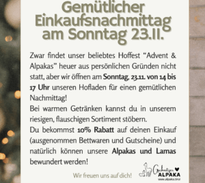 Gemuetlicher-Einkaufsnachmittag-am-Sonntag-23.11.1-mec-thumb-300-268 Gemütlicher Einkaufsnachmittag am Sonntag