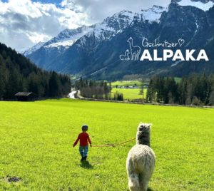 f-scaled-mec-thumb-300-268 Hofladen geöffnet von 9 bis 12 Uhr